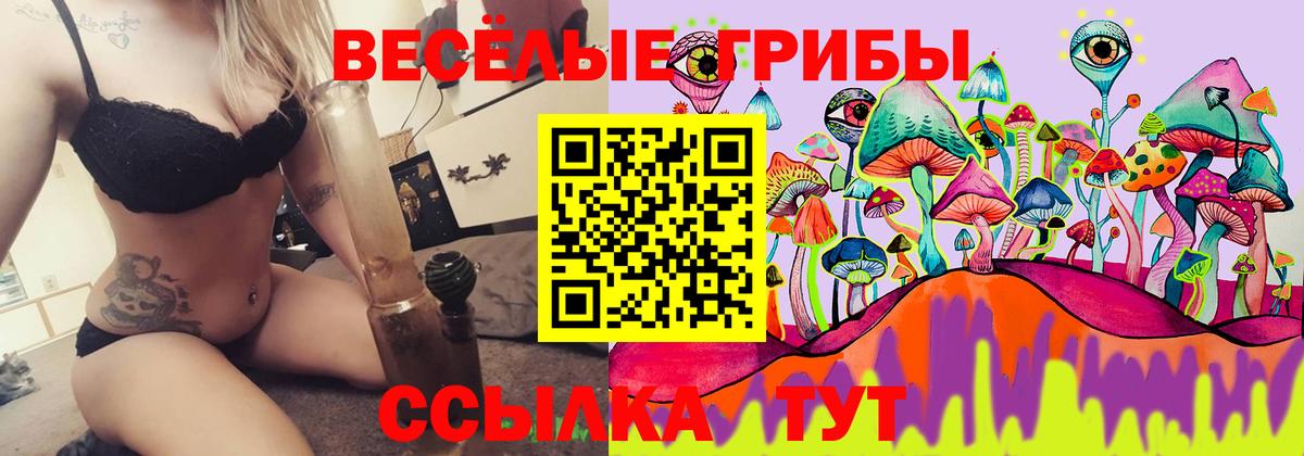 Галлюциногенные грибы Cubensis Зеленодольск