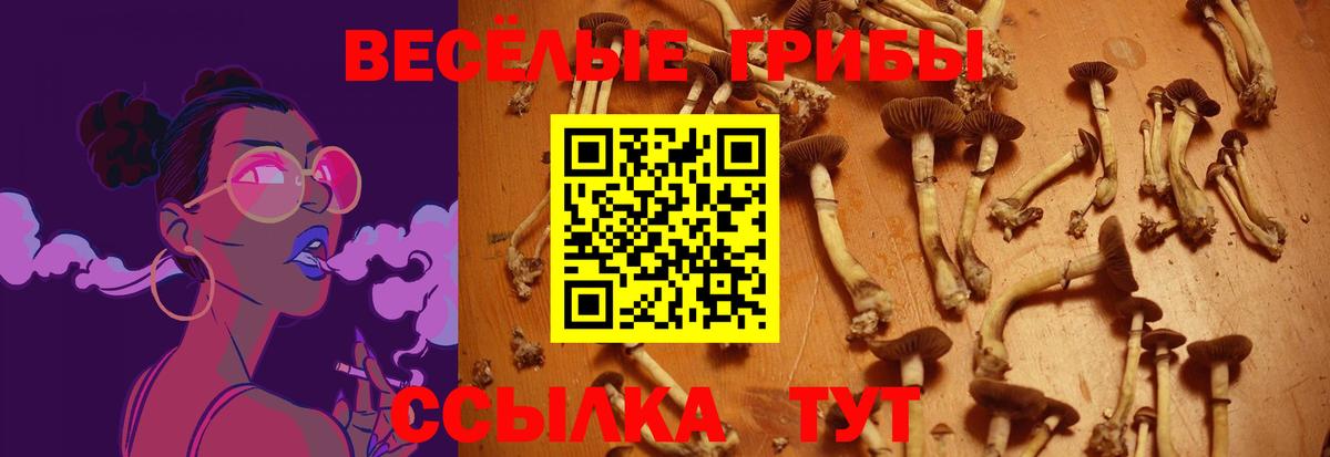 наркота  Галлюциногенные грибы Magic Shrooms  Вход с VPN  Зеленодольск 